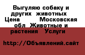 Выгуляю собаку и других​ животных › Цена ­ 100 - Московская обл. Животные и растения » Услуги   